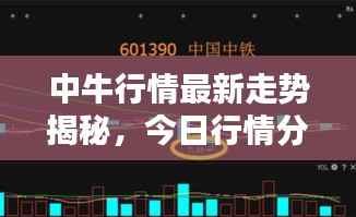 中牛行情最新走势揭秘,今日行情分析与预测