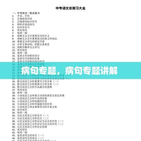 病句专题,病句专题讲解