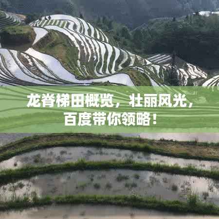 龙脊梯田概览,壮丽风光,百度带你领略!