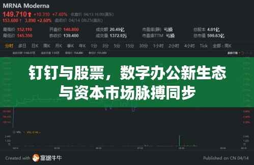 钉钉与股票,数字办公新生态与资本市场脉搏同步