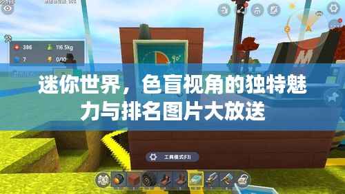 迷你世界,色盲视角的独特魅力与排名图片大放送