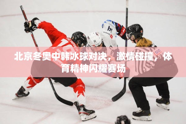 雅量高致 第2页