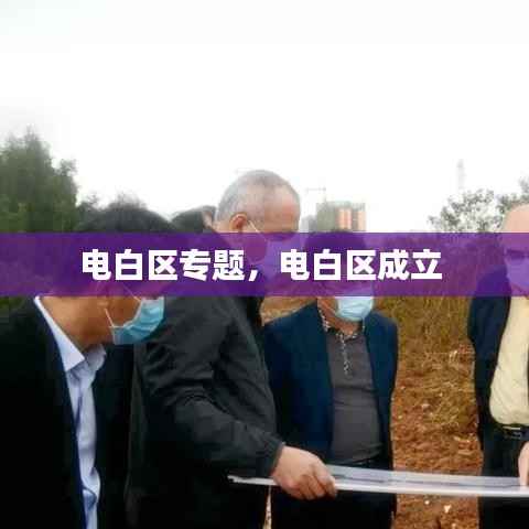 电白区专题,电白区成立