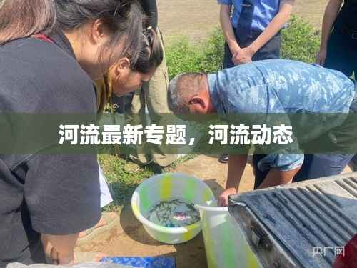 河流最新专题，河流动态 