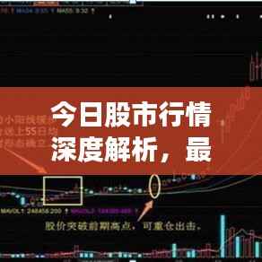 今日股市行情深度解析，最新走势揭示股价动态