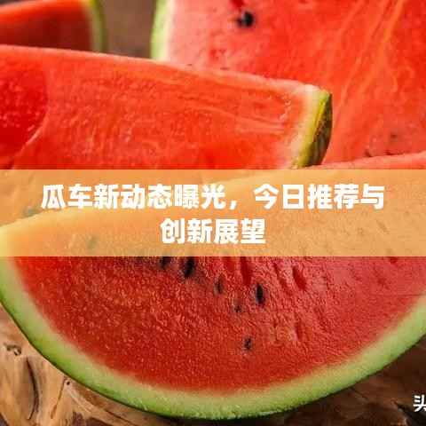 瓜车新动态曝光，今日推荐与创新展望