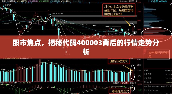 股市焦点,揭秘代码400003背后的行情走势分析