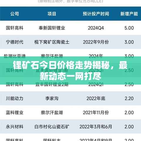 锂矿石今日价格走势揭秘,最新动态一网打尽