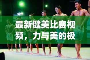 最新健美比赛视频,力与美的极致展现