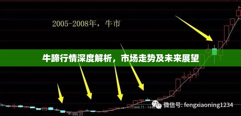 牛蹄行情深度解析,市场走势及未来展望
