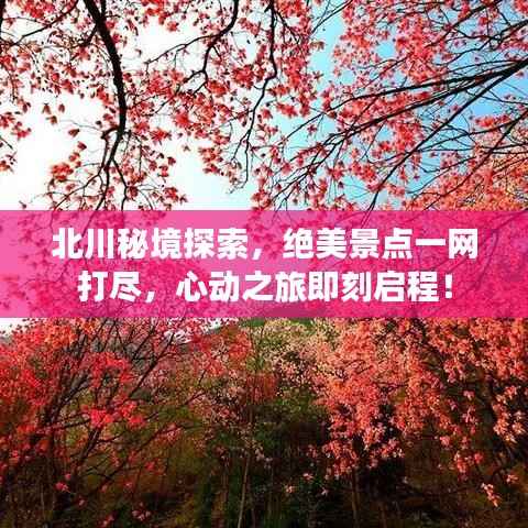 龙飞凤舞 第2页