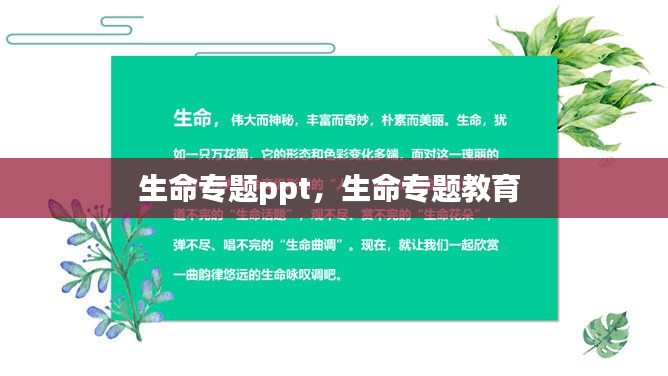 生命专题ppt，生命专题教育 