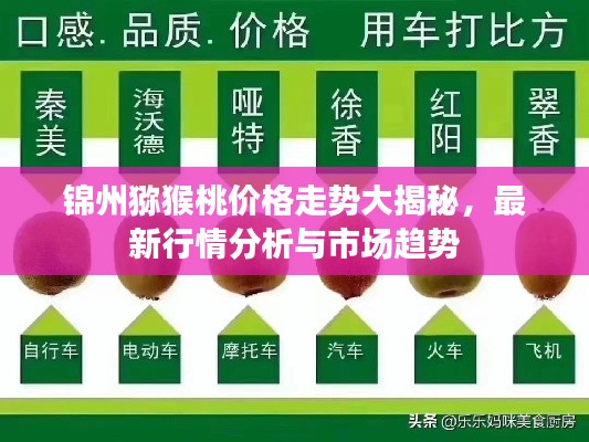 锦州猕猴桃价格走势大揭秘,最新行情分析与市场趋势