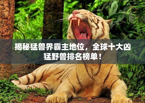 揭秘猛兽界霸主地位，全球十大凶猛野兽排名榜单！