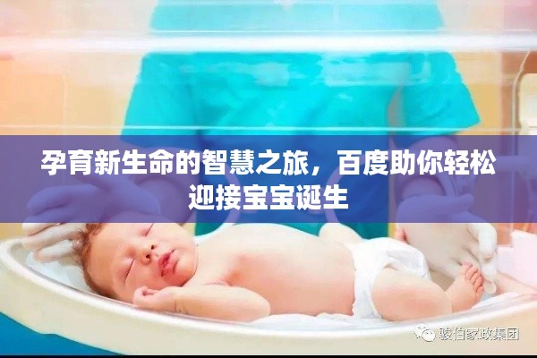孕育新生命的智慧之旅,百度助你轻松迎接宝宝诞生
